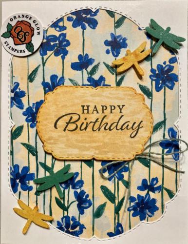 DSP, Labels, and Dragonflies